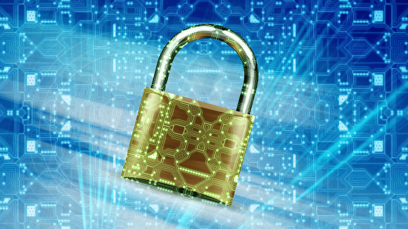 Data Protection image